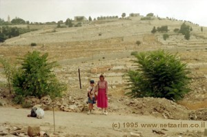 Har Zeitim (Mt. of Olives)